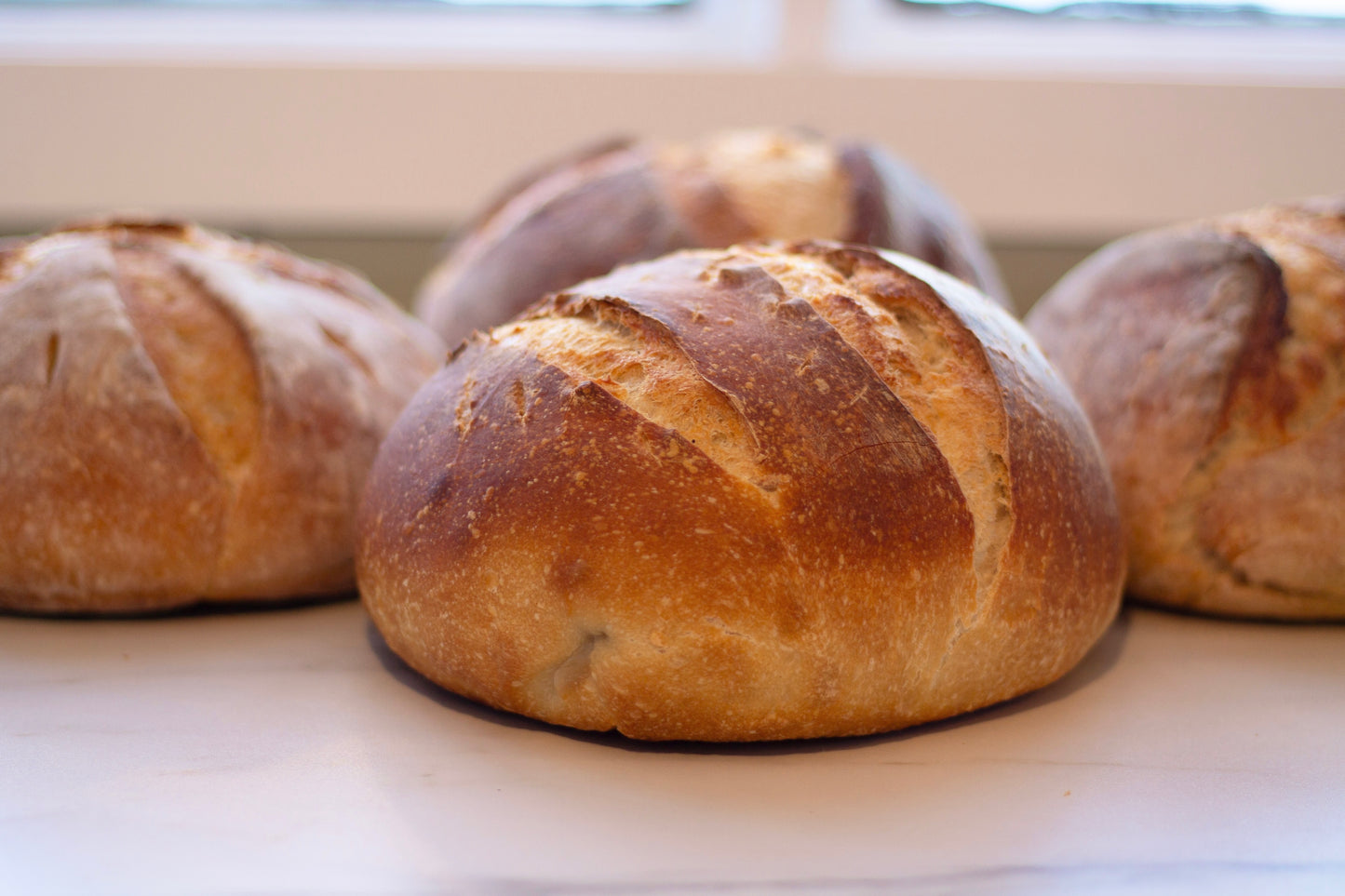 Sourdough Boule