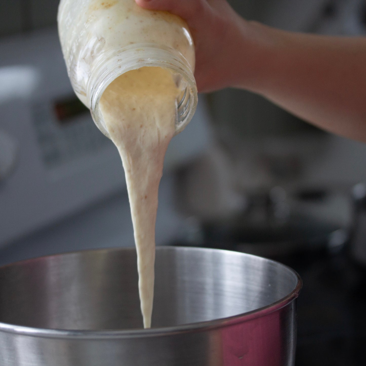 Sourdough Starter